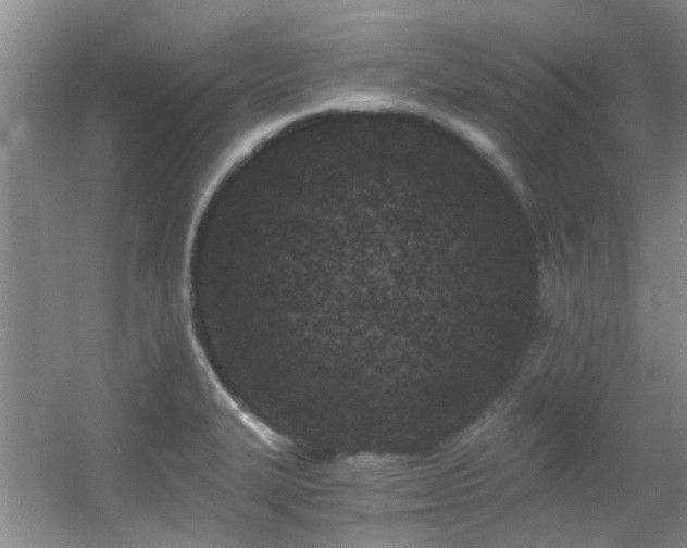 X0000056021327200508221510