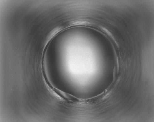 X0000056021330200508221510