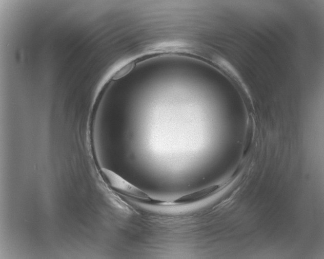 X0000056021336200508221511
