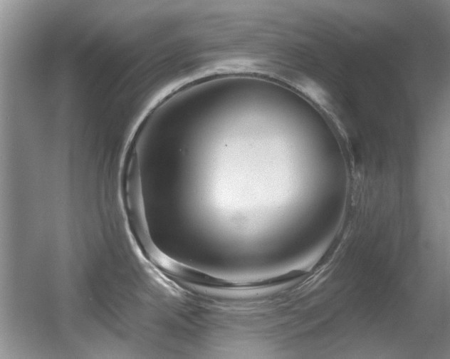 X0000056021342200508221511