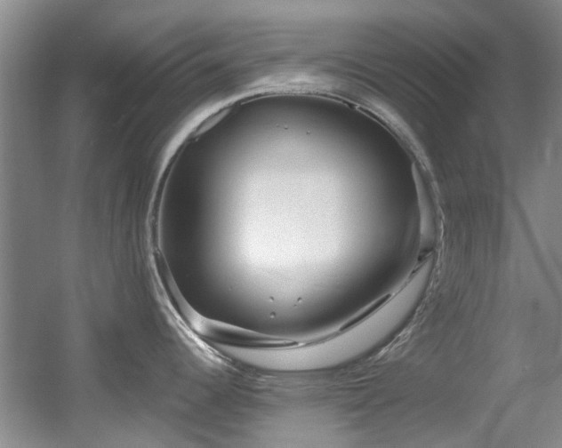 X0000056021344200508221511