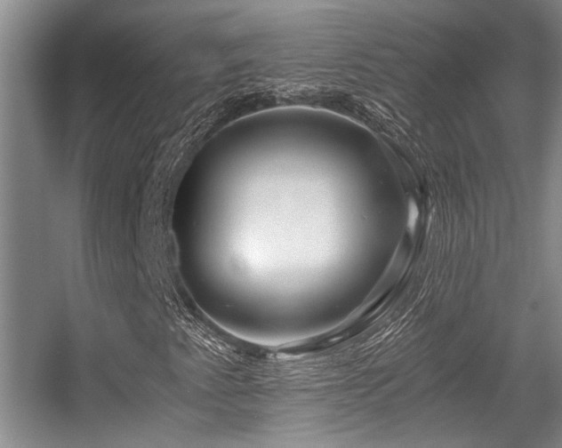 X0000056021345200508221510