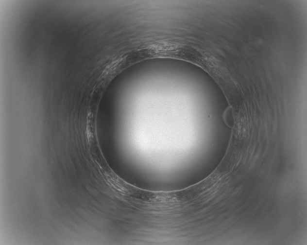 X0000056021346200508221510