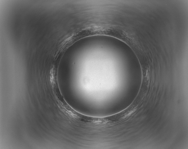 X0000056021348200508221510