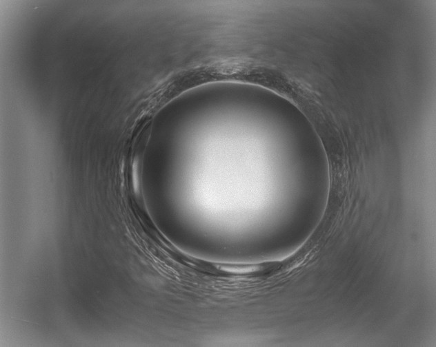 X0000056021349200508221510