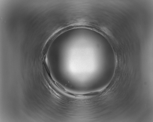X0000056021356200508221510