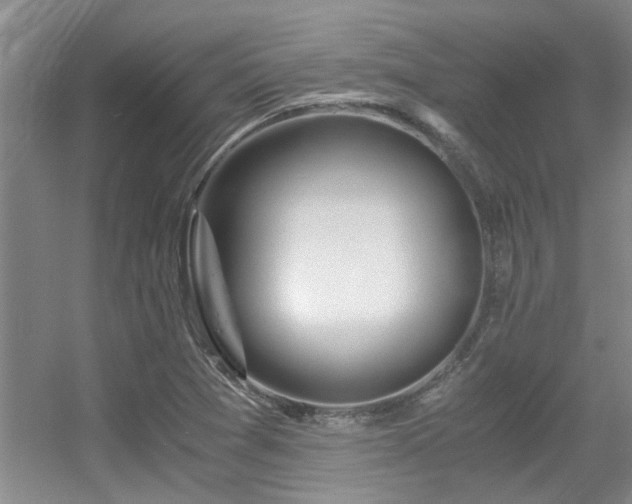X0000056021361200508221510