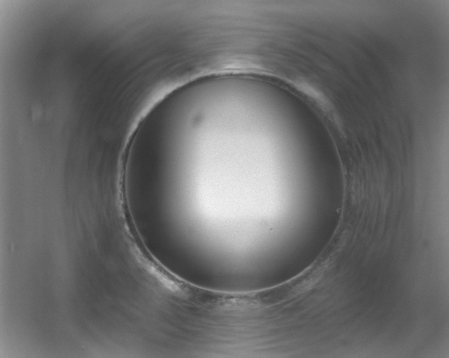 X0000056021374200508221509