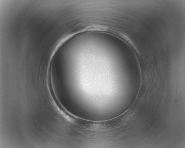 X0000056021379200508221509