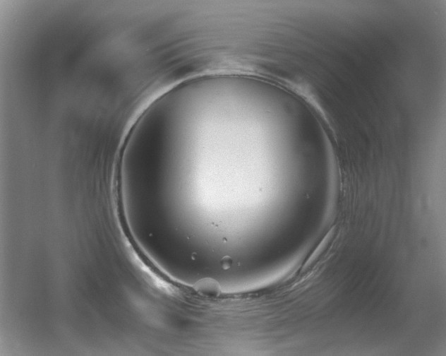 X0000056021387200508221509