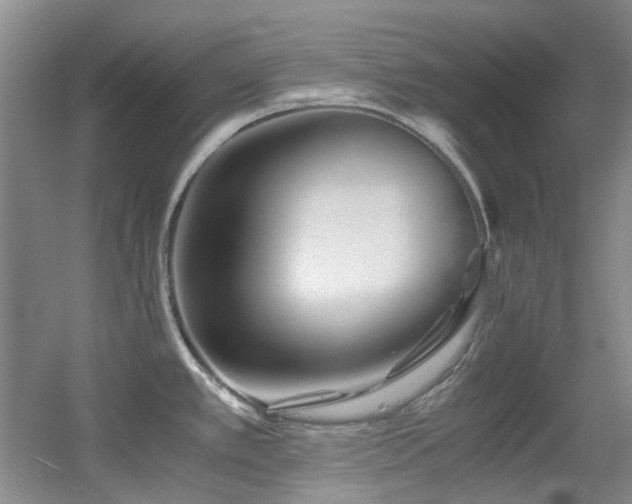 X0000056021389200508221509