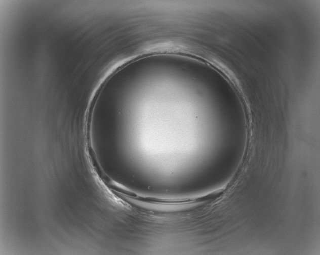 X0000056021392200508221509
