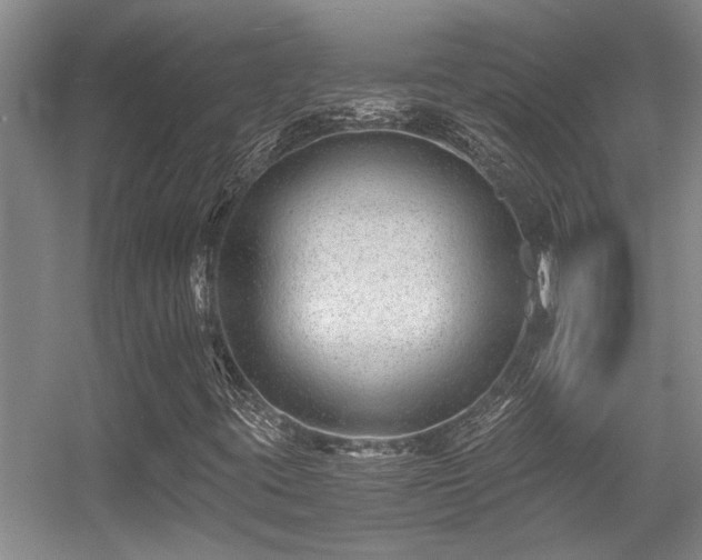 X0000056021395200508221508