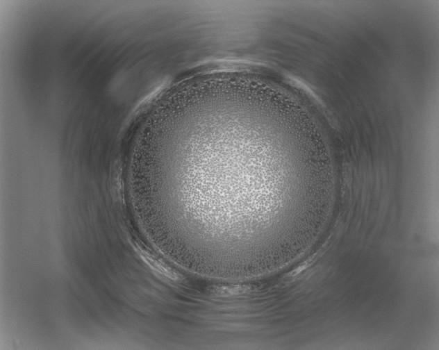 X0000056021403200508221508