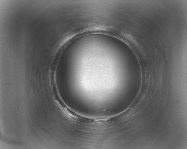 X0000056021404200508221508