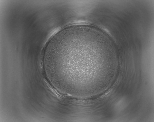 X0000056021405200508221508
