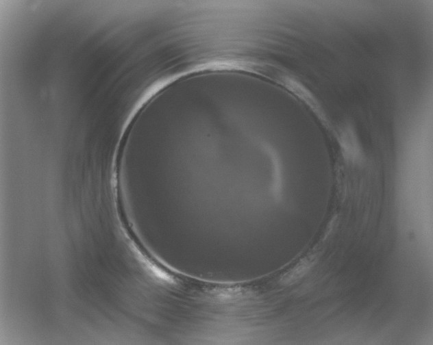 X0000056021428200508221509