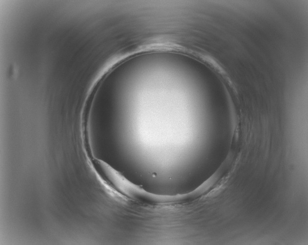 X0000056021430200508221509