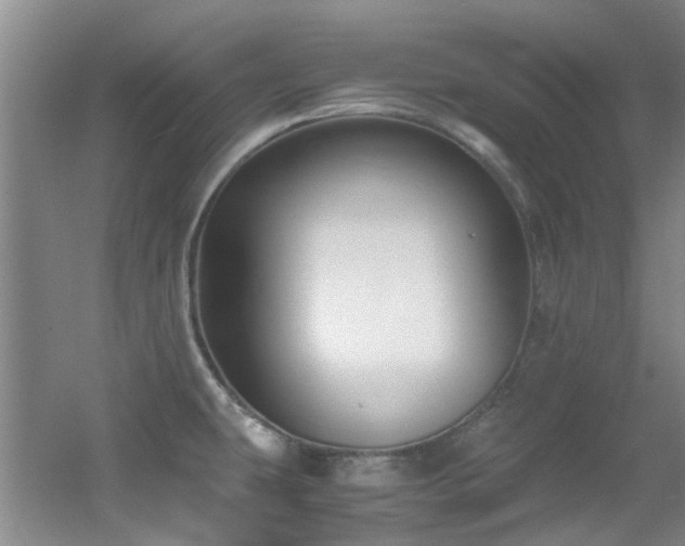 X0000056021431200508221509