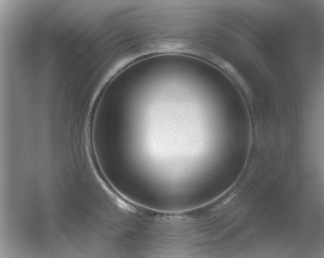 X0000056021432200508221509