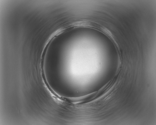 X0000056021434200508221509