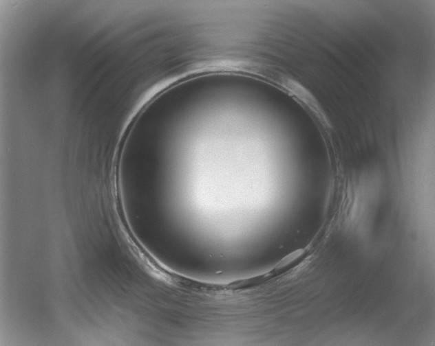 X0000056021436200508221509