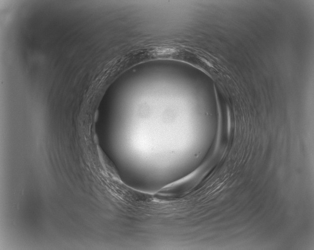 X0000056021441200508221508