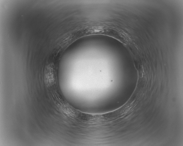 X0000056021442200508221508