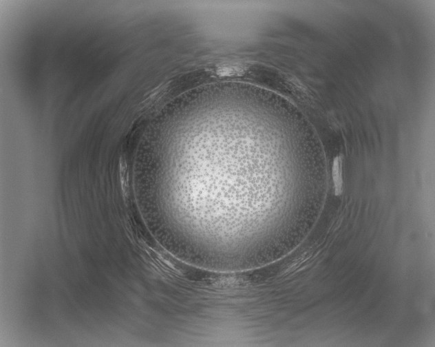 X0000056021443200508221508