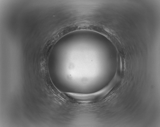 X0000056021445200508221508