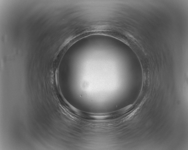 X0000056021449200508221508