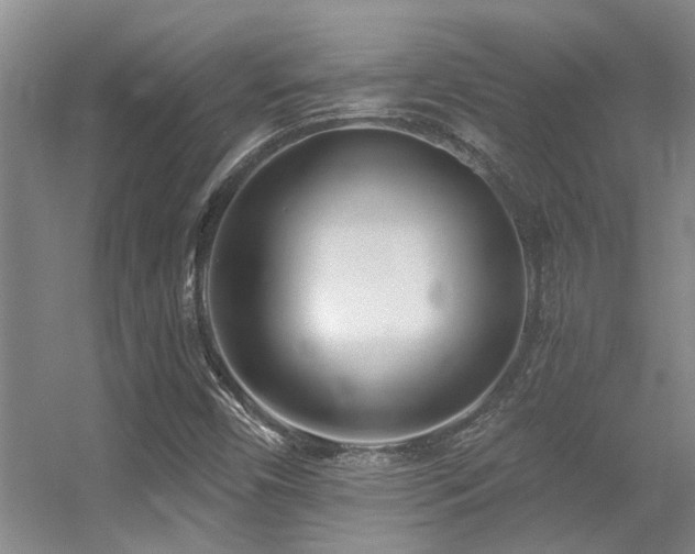 X0000056021450200508221508