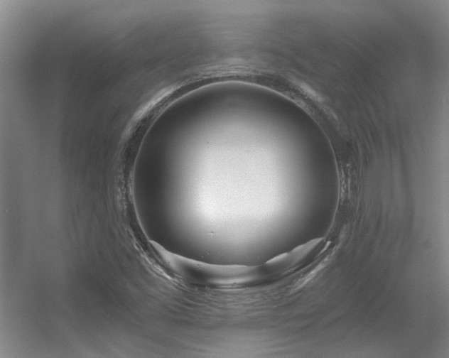 X0000056021453200508221508