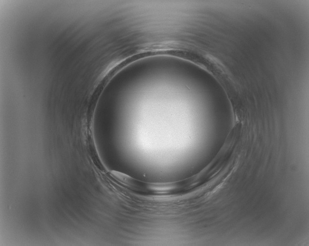 X0000056021457200508221508