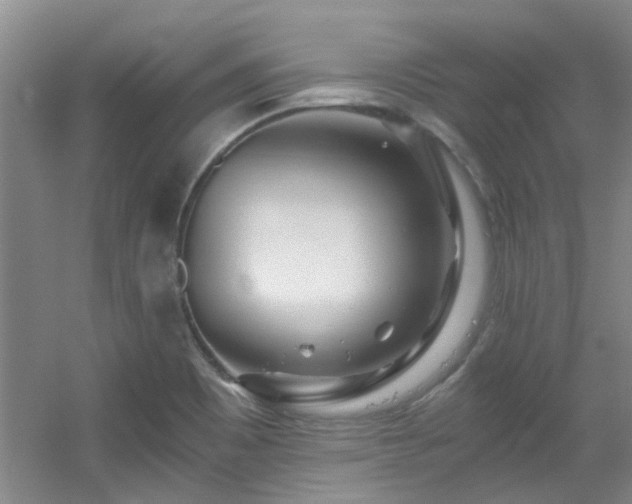 X0000056021465200508221508