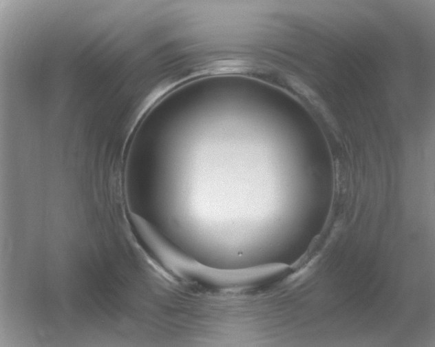 X0000056021473200508221508