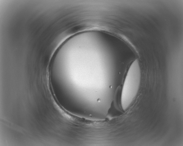 X0000056021476200508221508