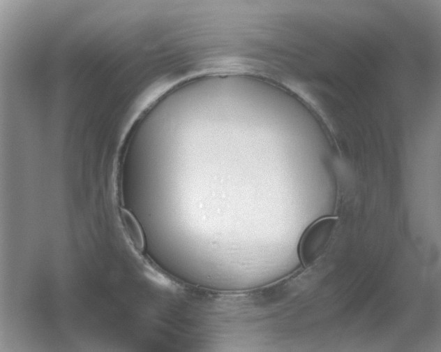X0000056021477200508221508