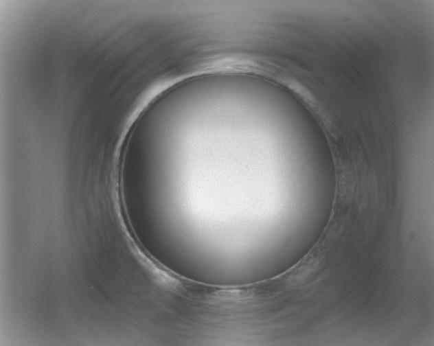 X0000056021478200508221508