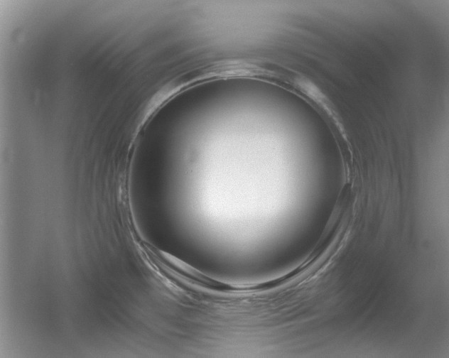 X0000056021481200508221508