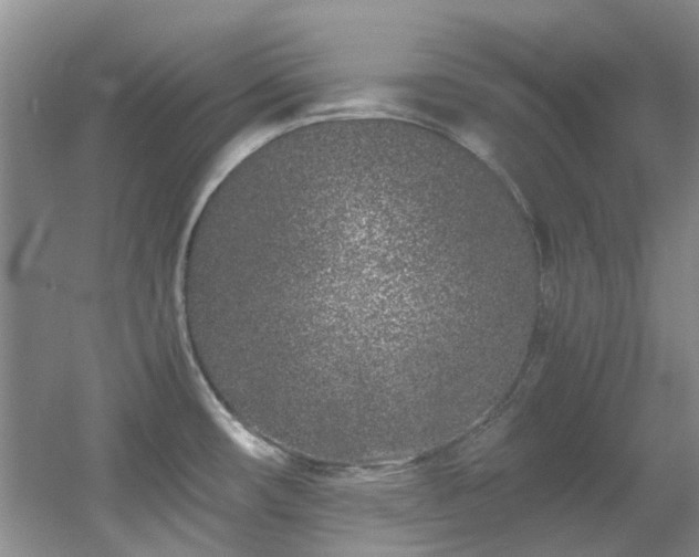 X0000056021482200508221507