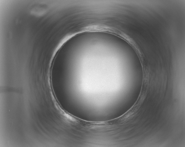 X0000056021486200508221507