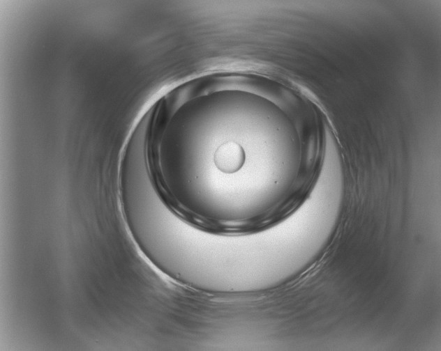 X0000056021487200508221507
