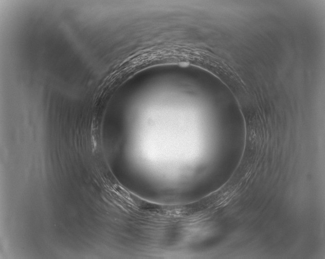 X0000056021490200508221507