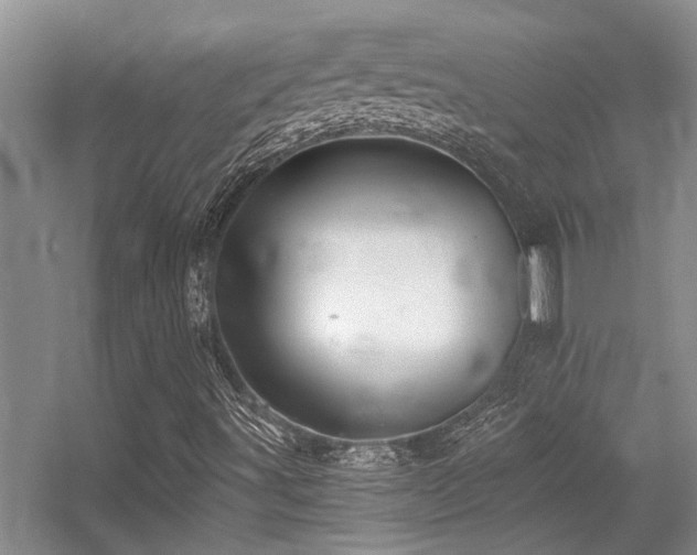 X0000056021491200508221507