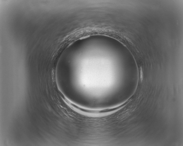 X0000056021492200508221507