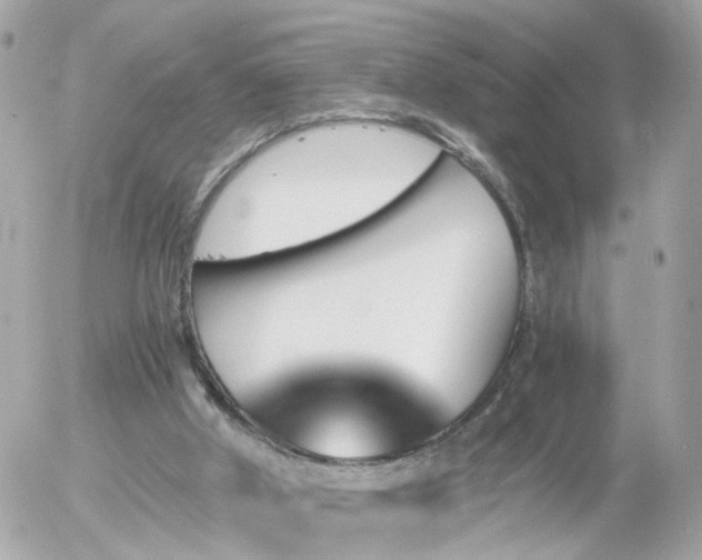 X0000056020010200508261853
