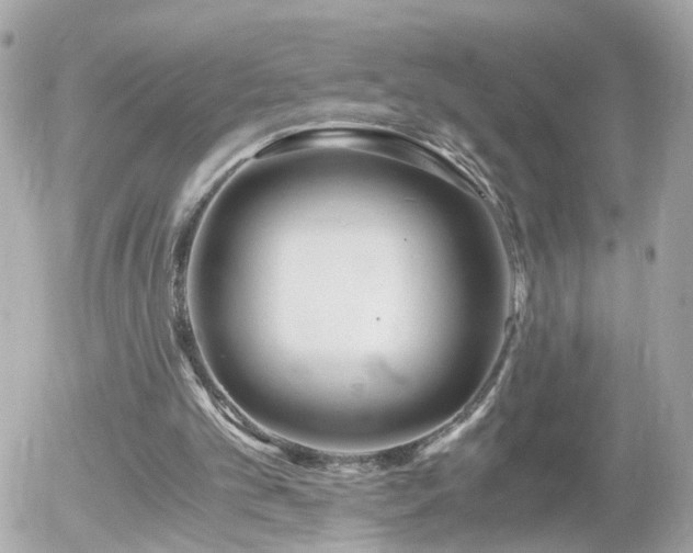 X0000056020101200508261851