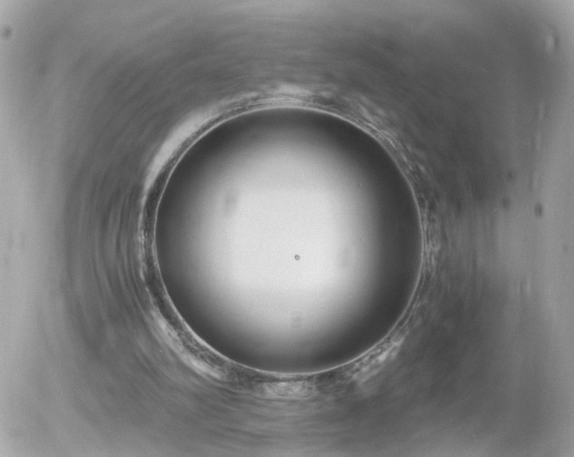 X0000056020102200508261851