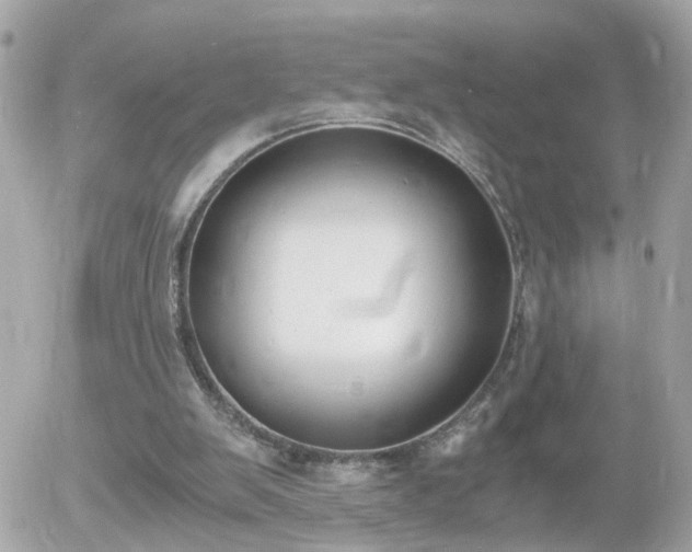 X0000056020103200508261851